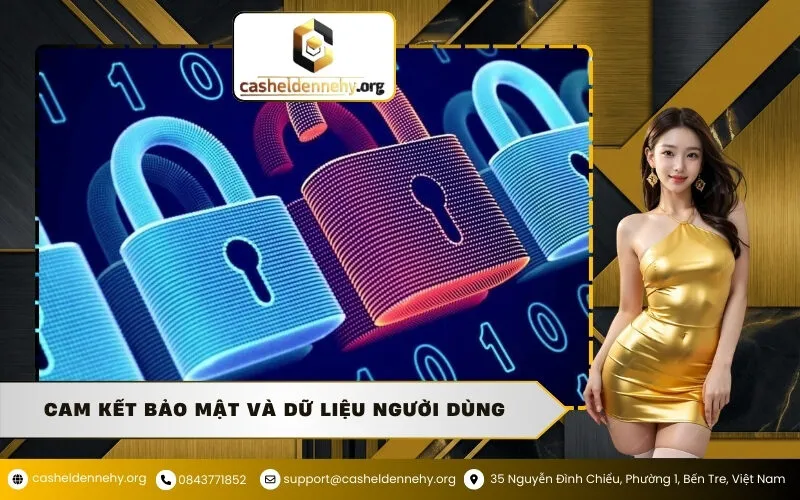 Cam kết bảo mật và dữ liệu người dùng
